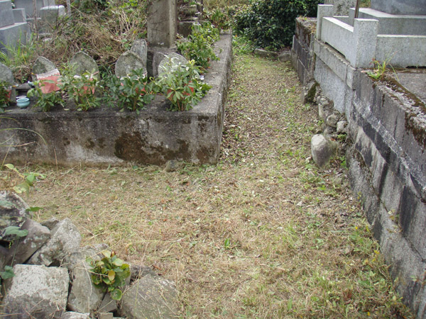 2014年10月20日 西条市丹原町にて 