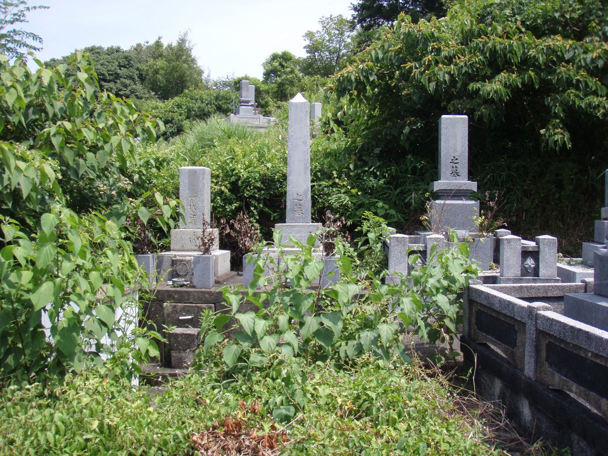 ご奉仕日 2016年07月22日 松山市にて