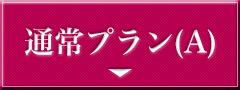 代理参拝プランA