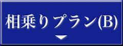 代理参拝プランB