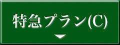 代理参拝プランC