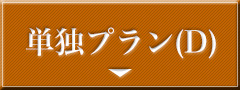 代理参拝プランD